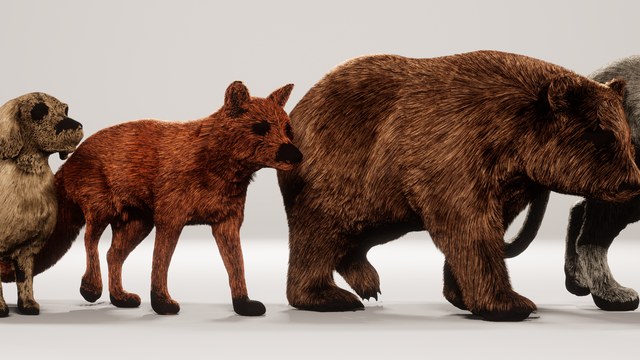 NeuralFur: Animal Fur Reconstruction From Multi-View Images